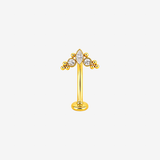 Labret courbé titane Push - 1.6mm - WINONA